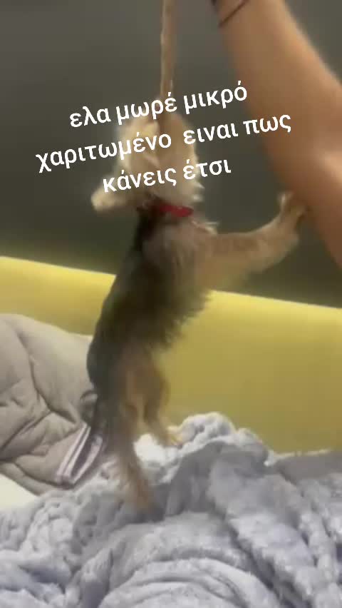 @Fotis Nikou
