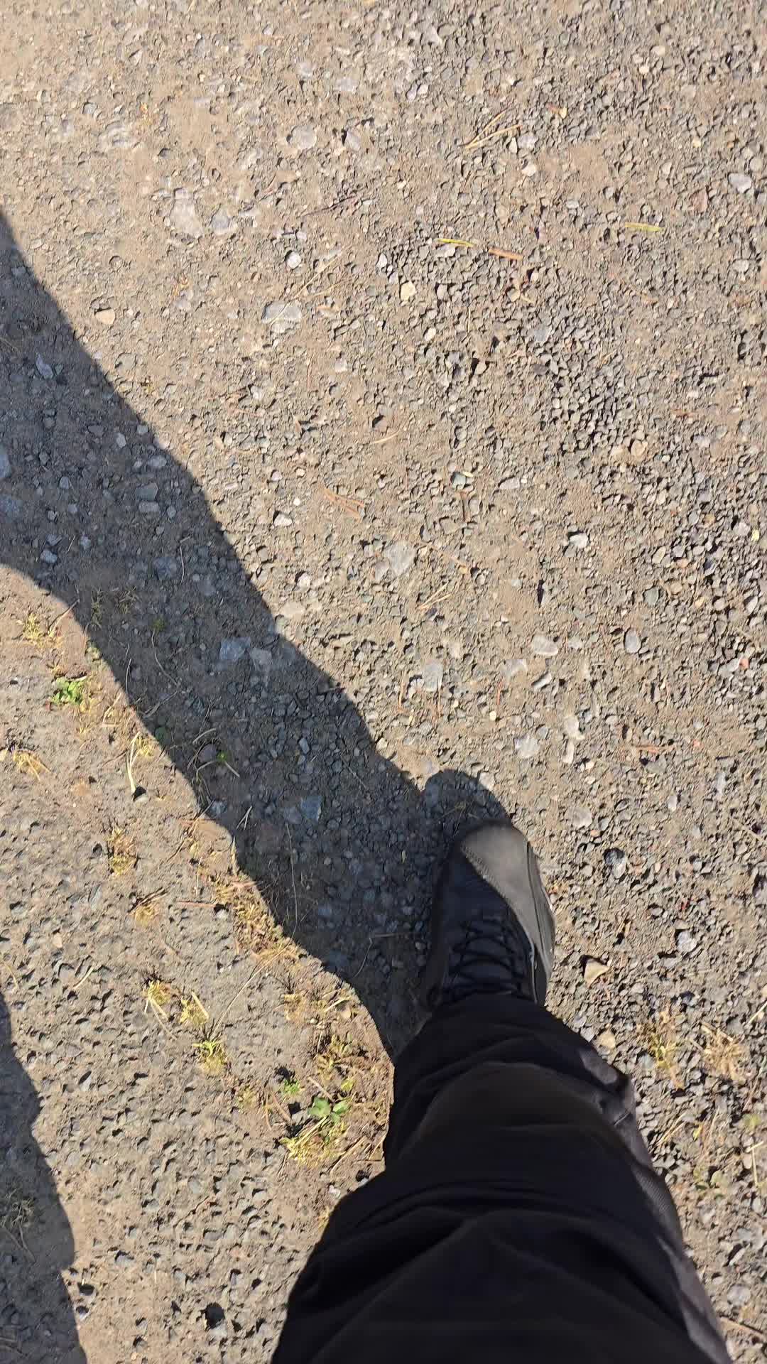 @𝓦𝓸𝓸𝓭𝔃𝔂