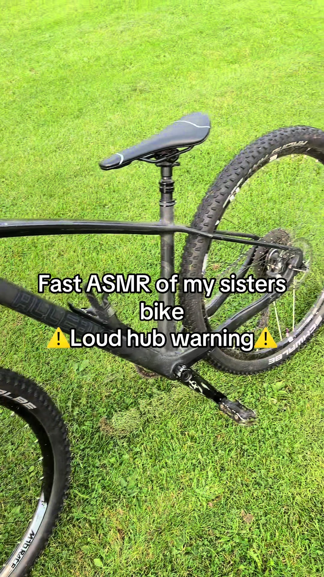 @dogge_mtb
