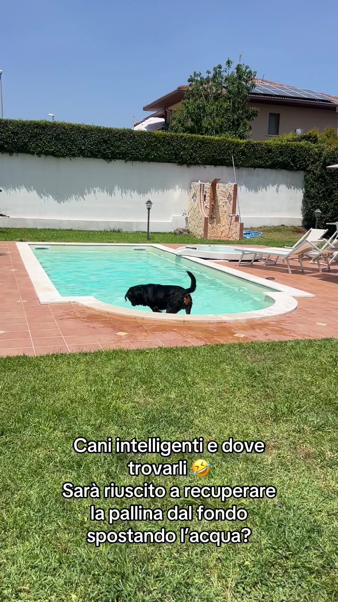 @Tutti pazzi per Ciro il rott