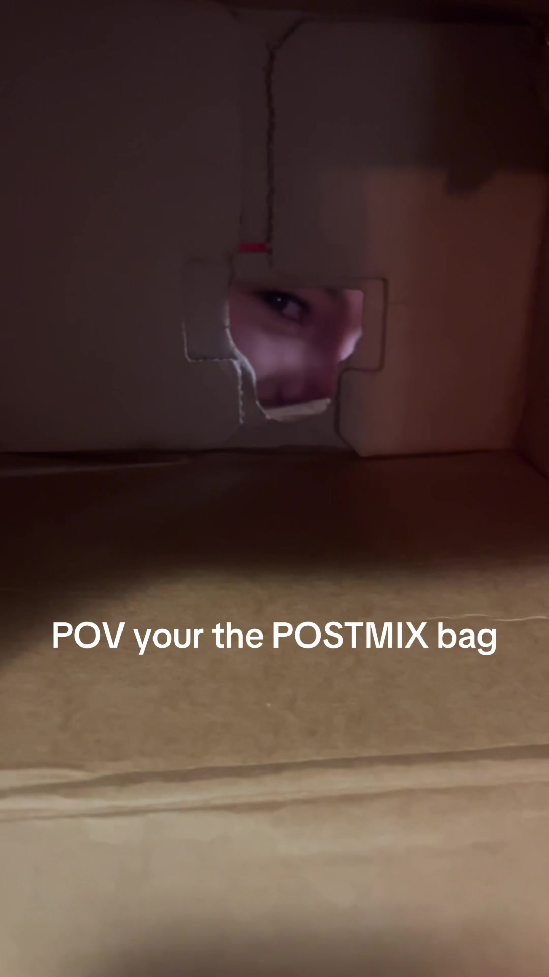 @TheFox_pub