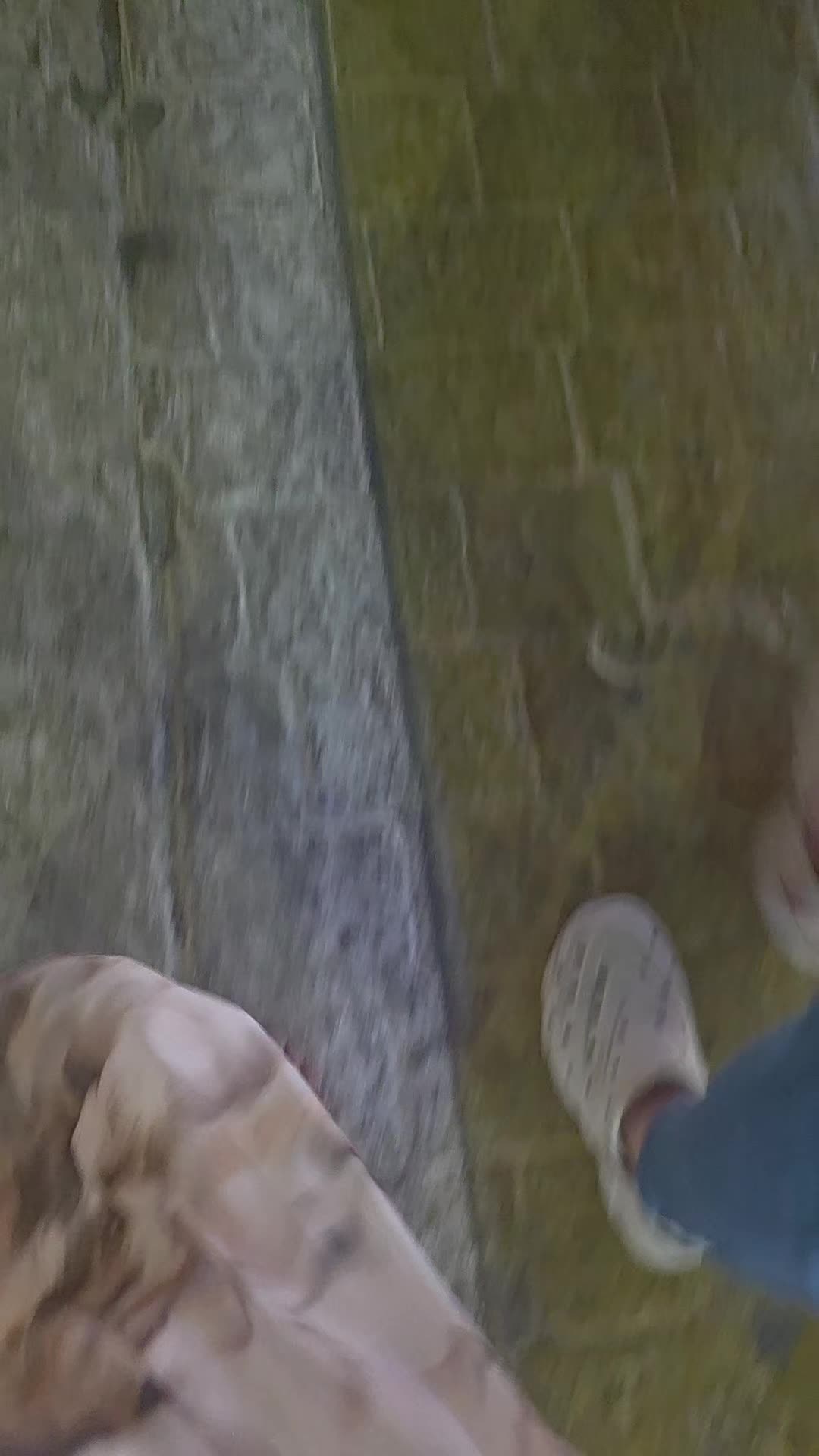 @FTFvlogs