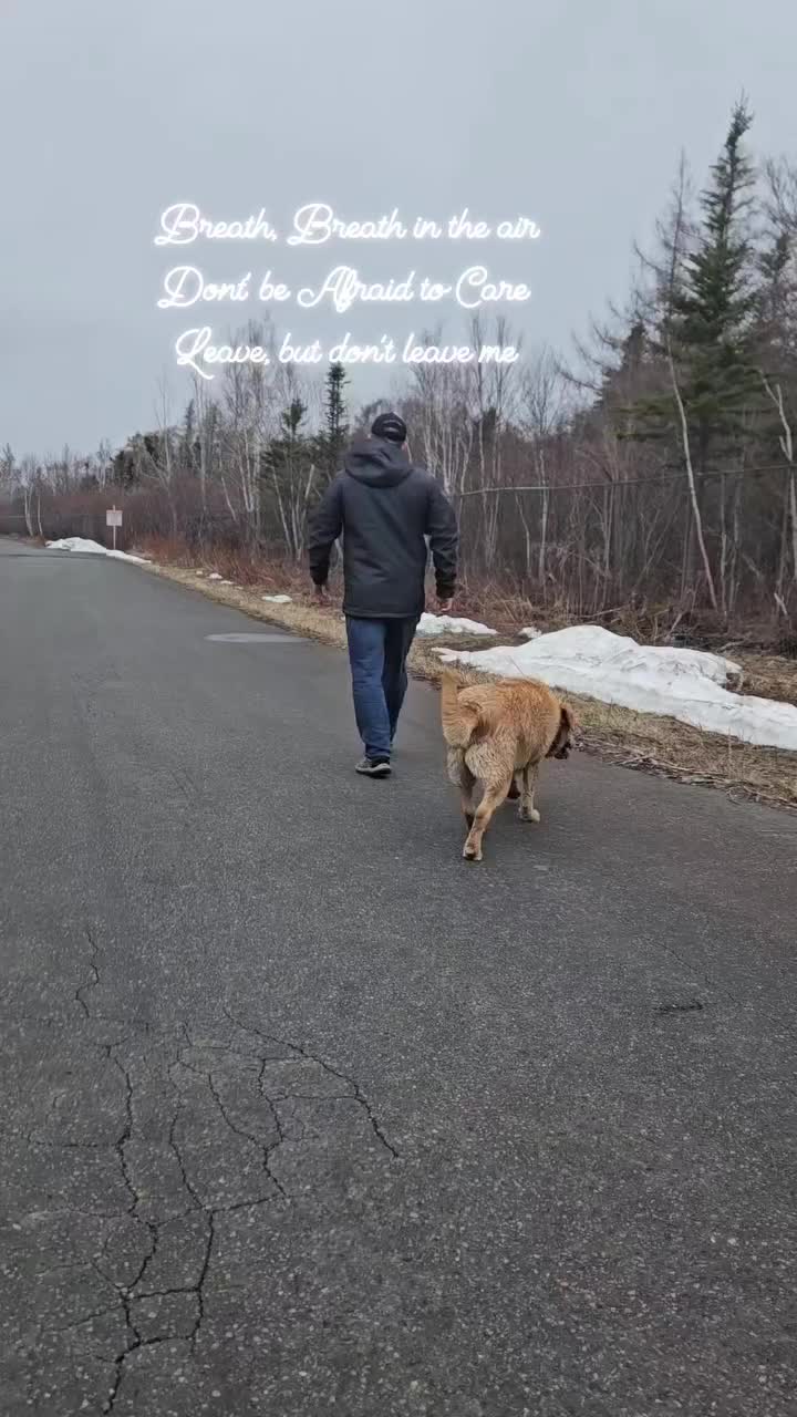 @Dogmom