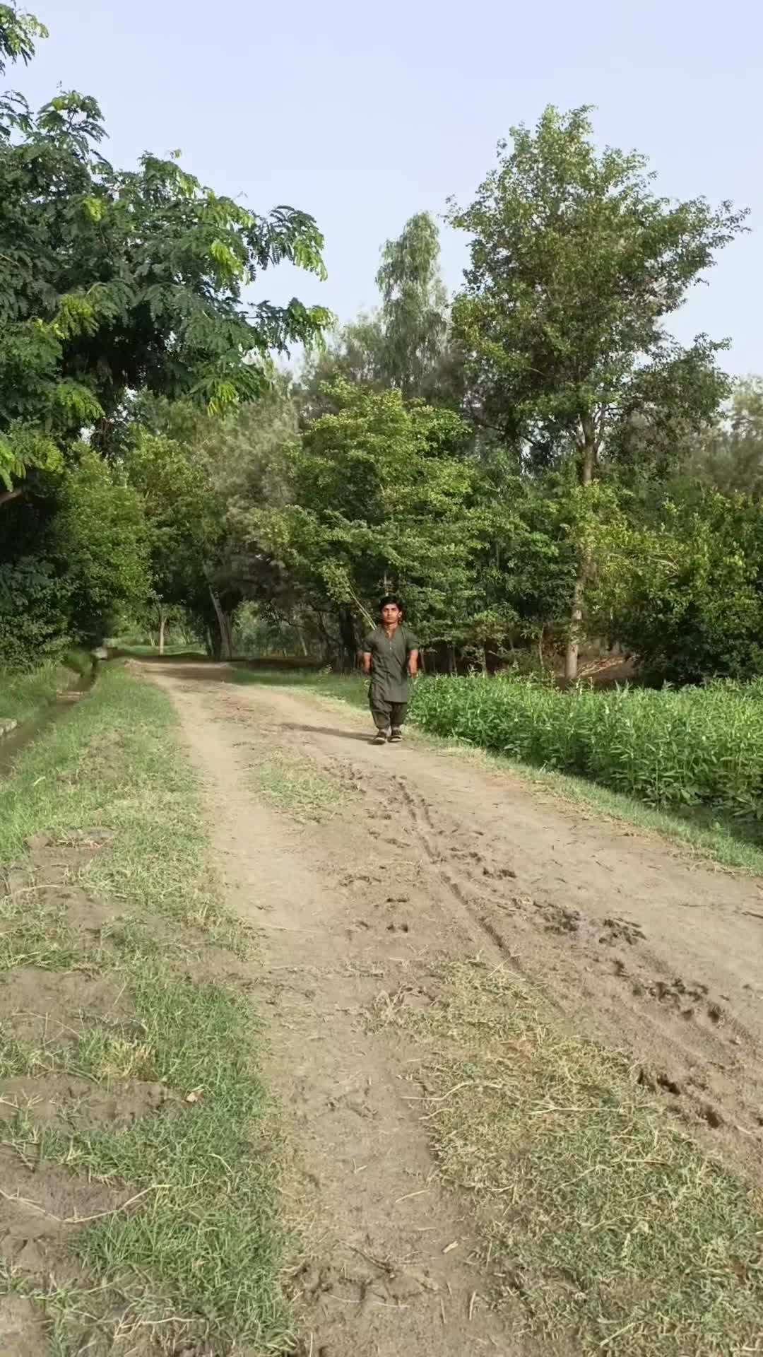 @گُڈو بادشاہ
