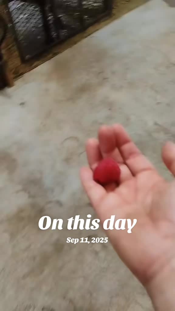 @Flhorselife772