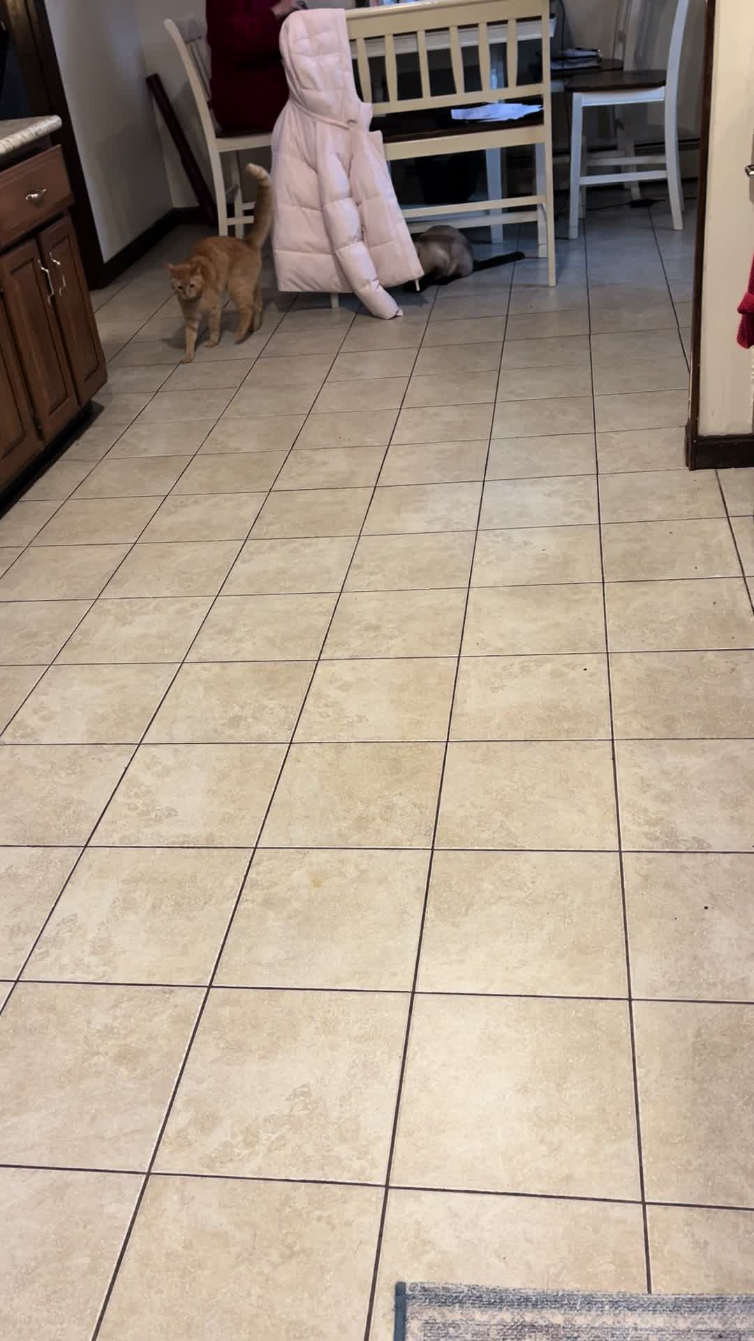 @♡Sabrina♡