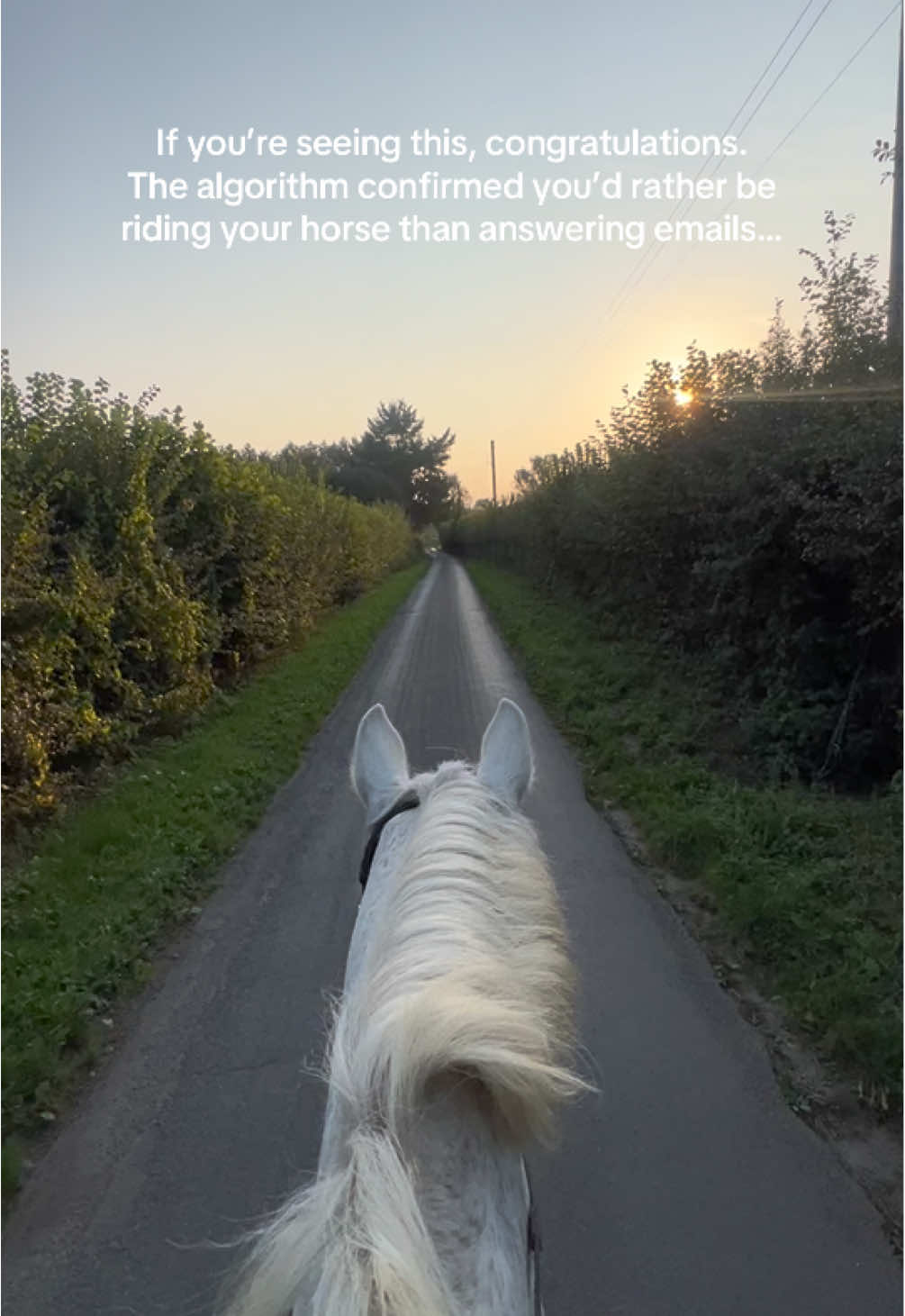 @Protexin Equine