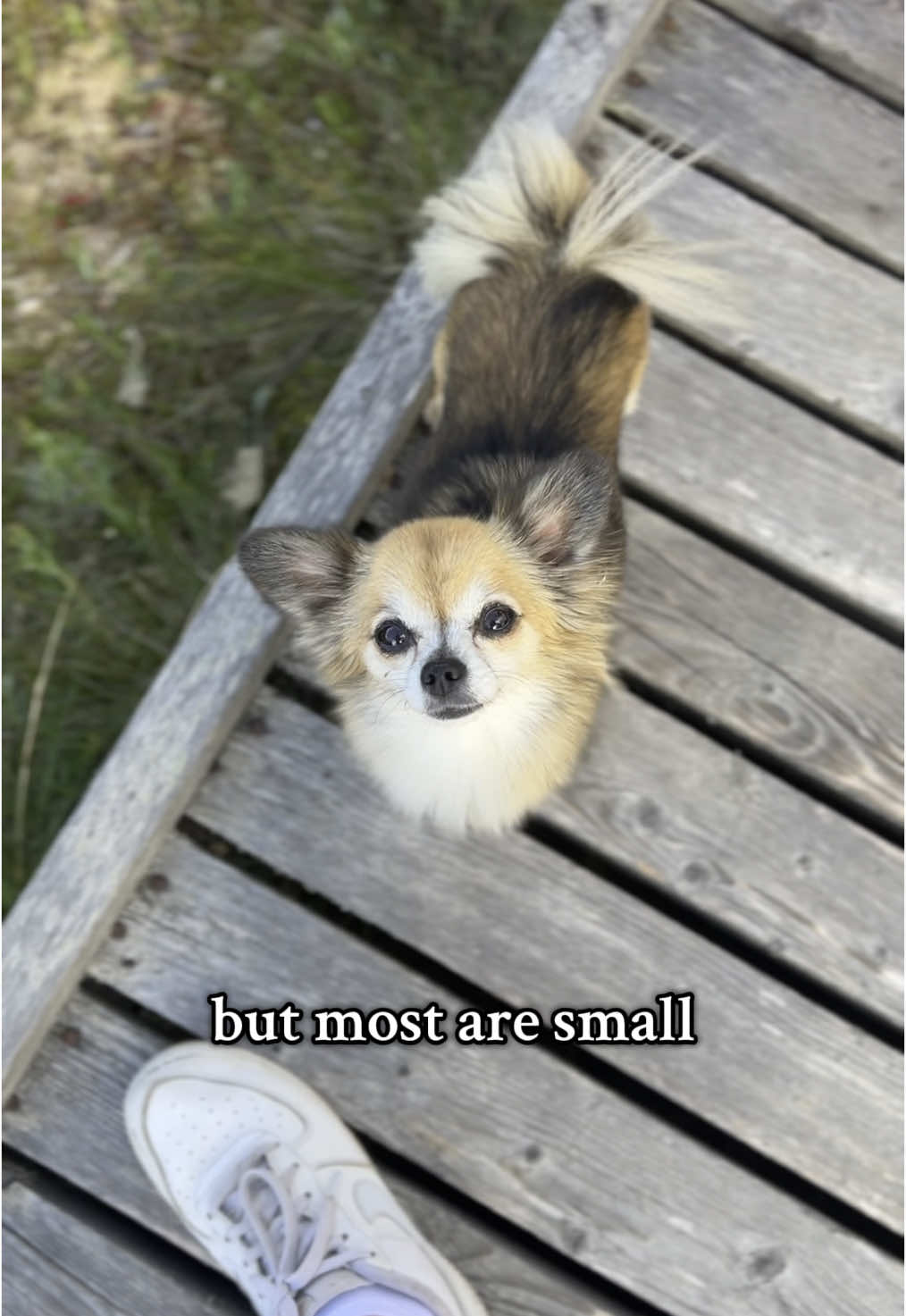 @Bailey & Kira
