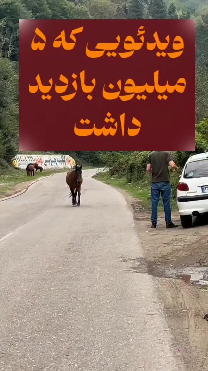 @persian_music