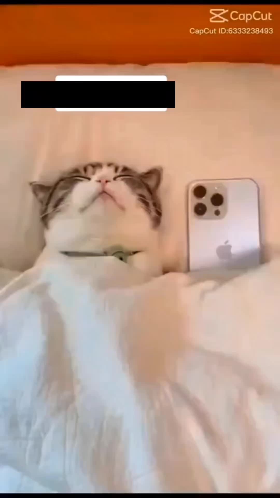 @๐
ฟ๐
ด๐
ฐ๐
ฒ๐
ด๐ช๐ทโค๏ธ๐ตโ๏ธ๐ง๐ผ