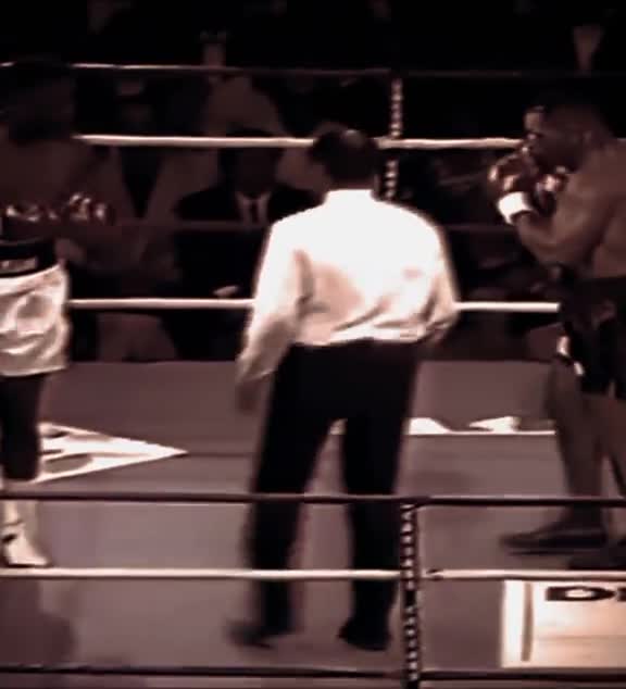 @wili*-*🥊