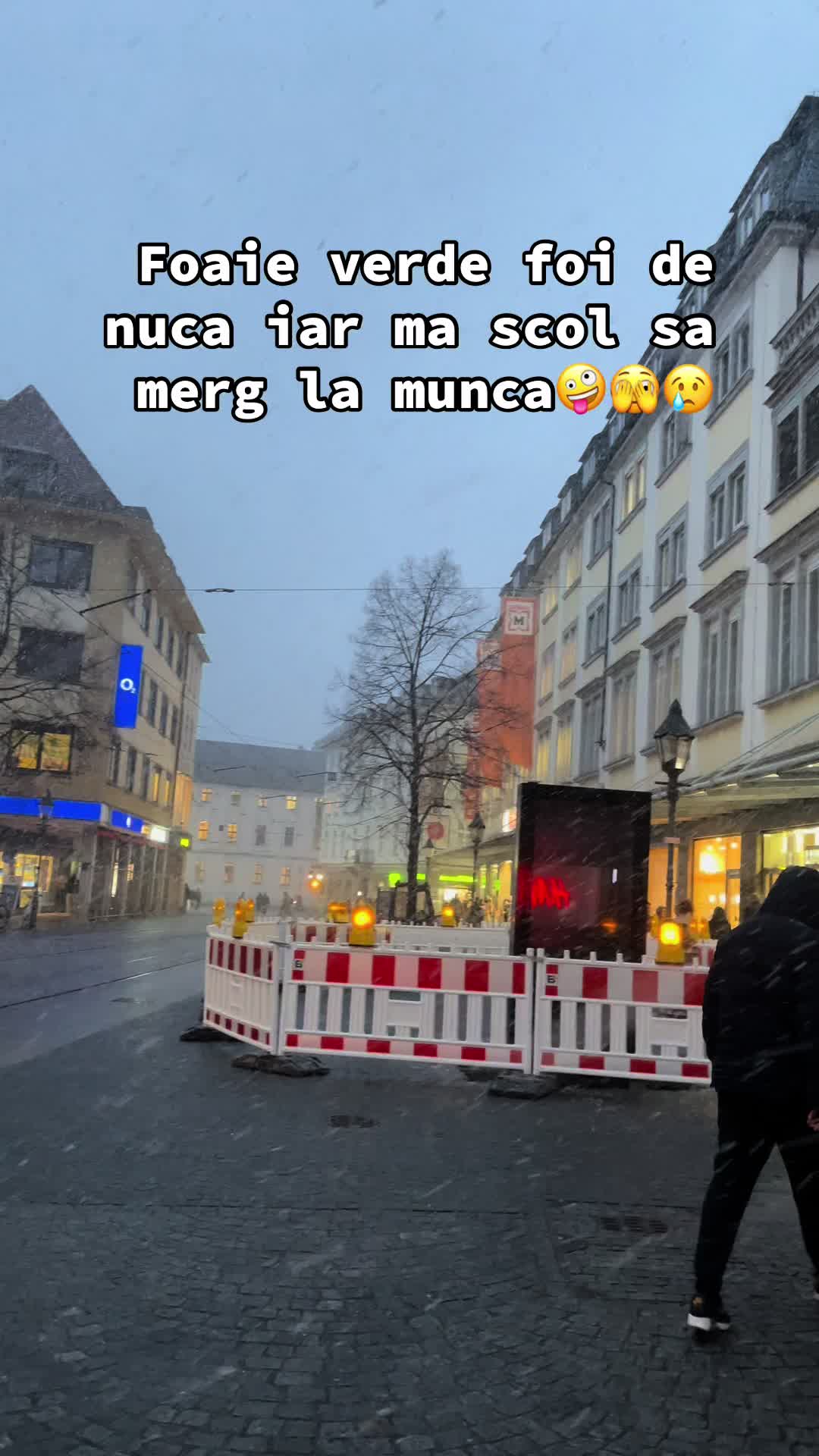 @viktor.ungurian