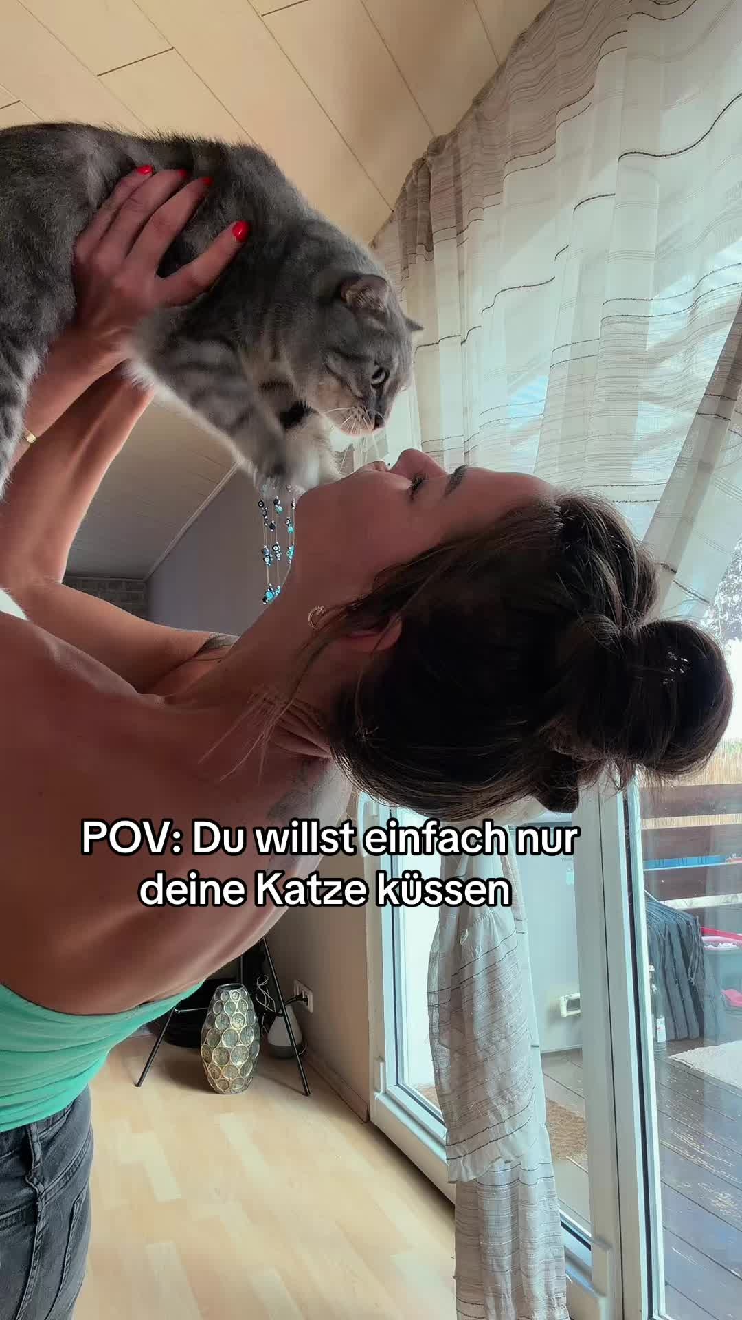 @Oscar & die Katzenbande
