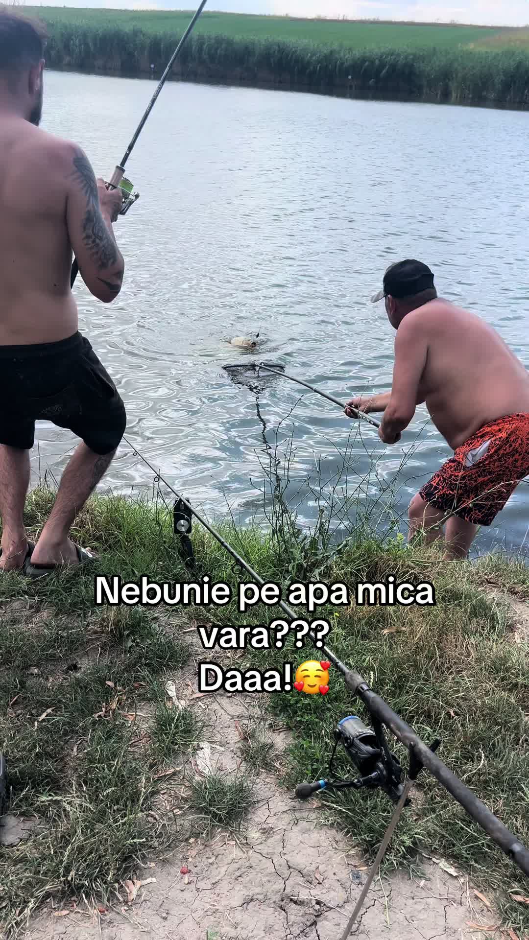 @Balta Sultan -Calarasi