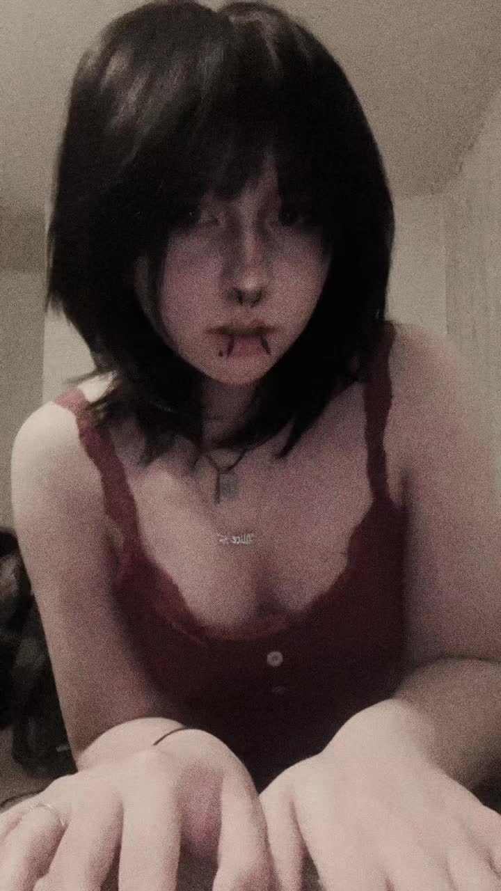 @dontfeedthejj