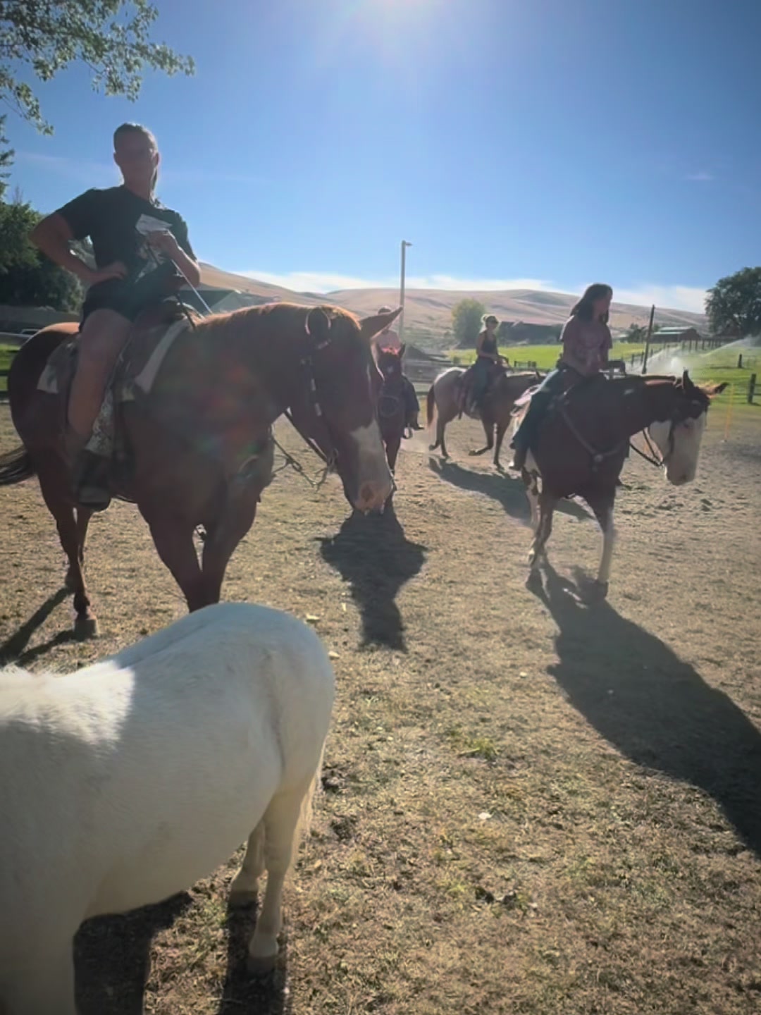 @Hot Sauce the Mini horse 🐎