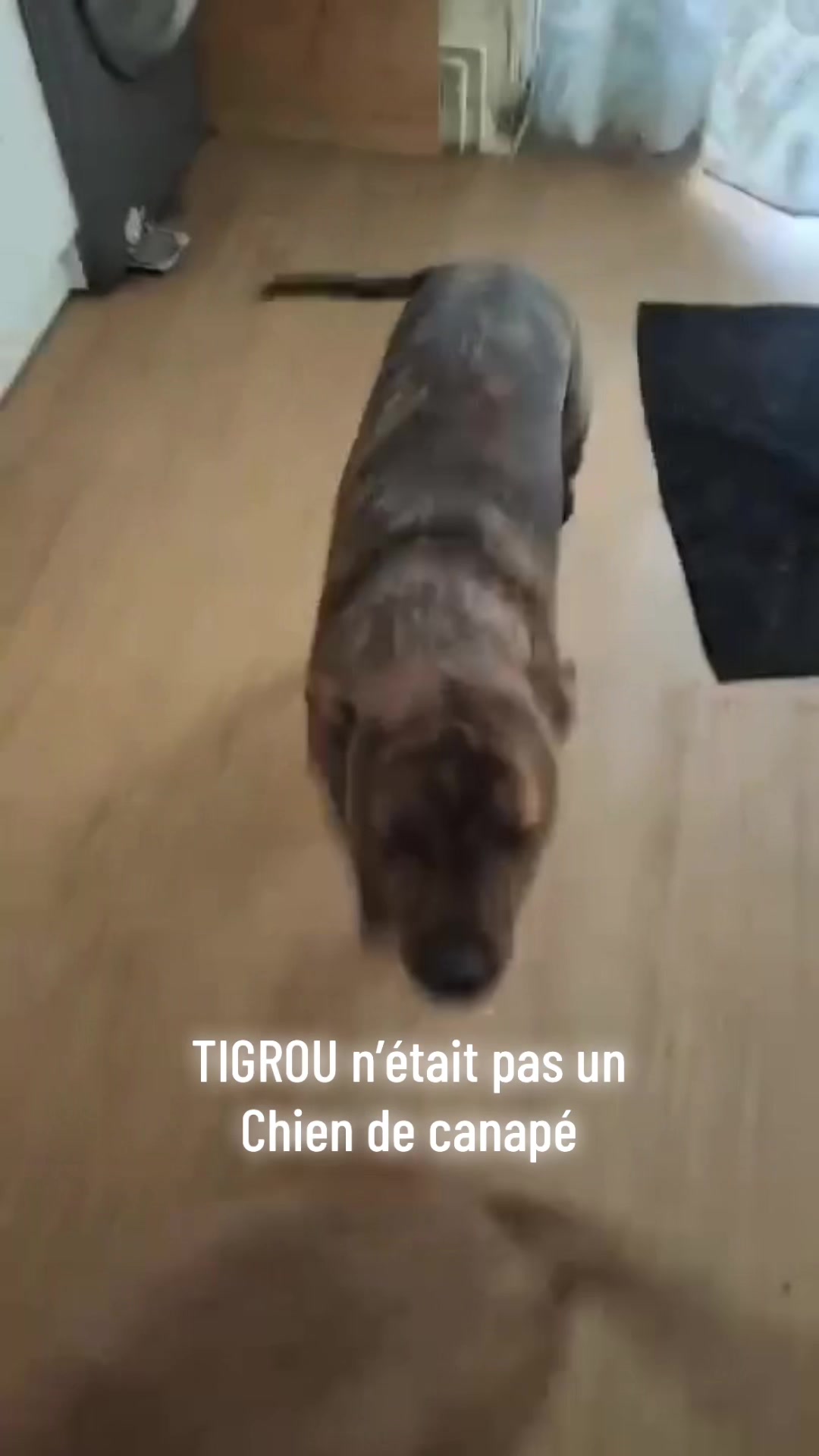 @Valérierun 🇮🇹 🇫🇷🫵