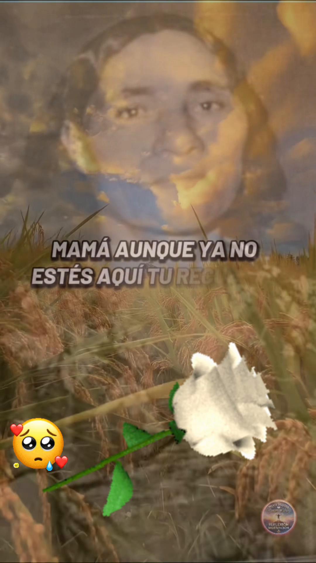 @Mariammm