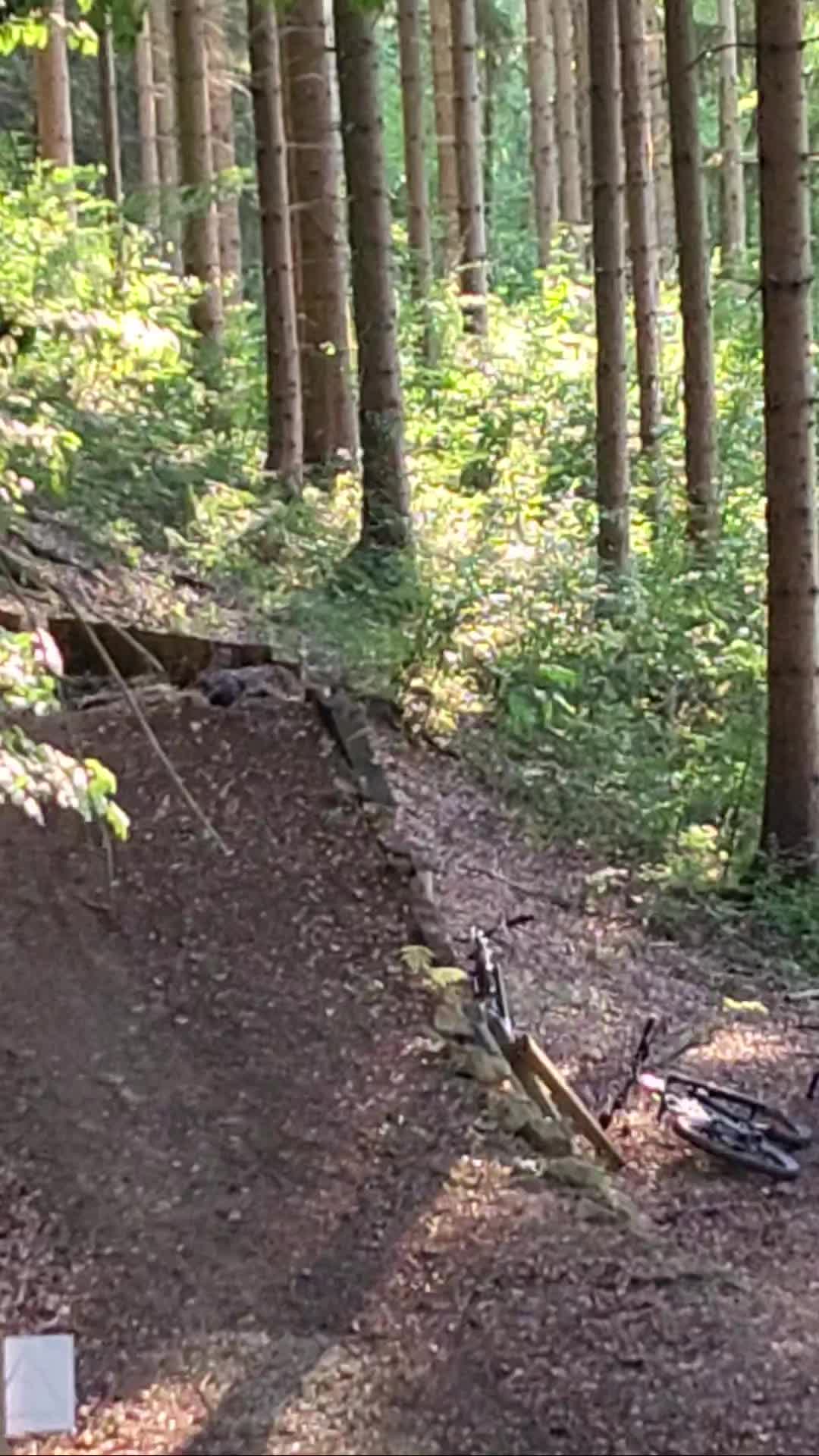 @elias123mtb