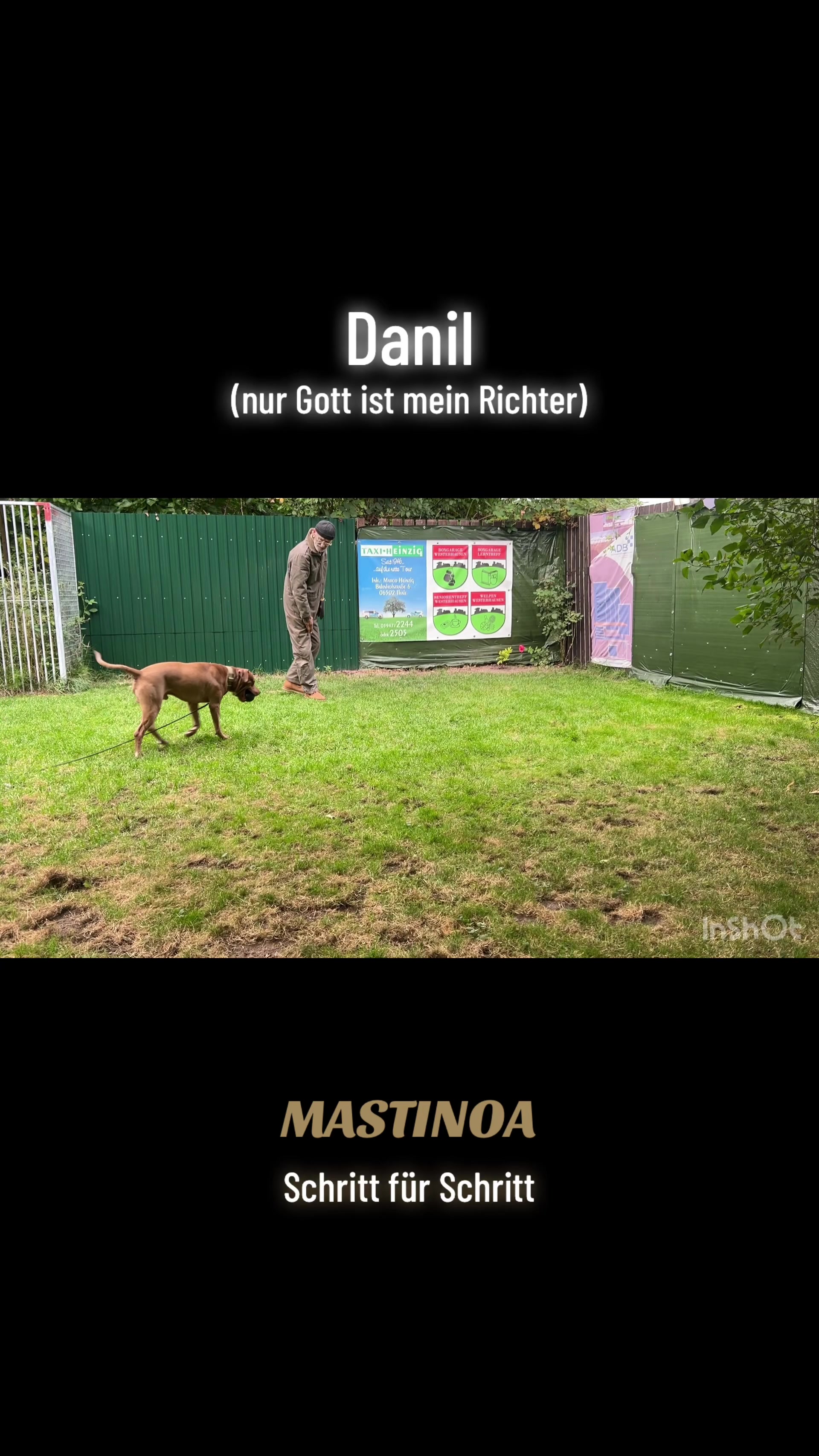 @MASTINOA pro