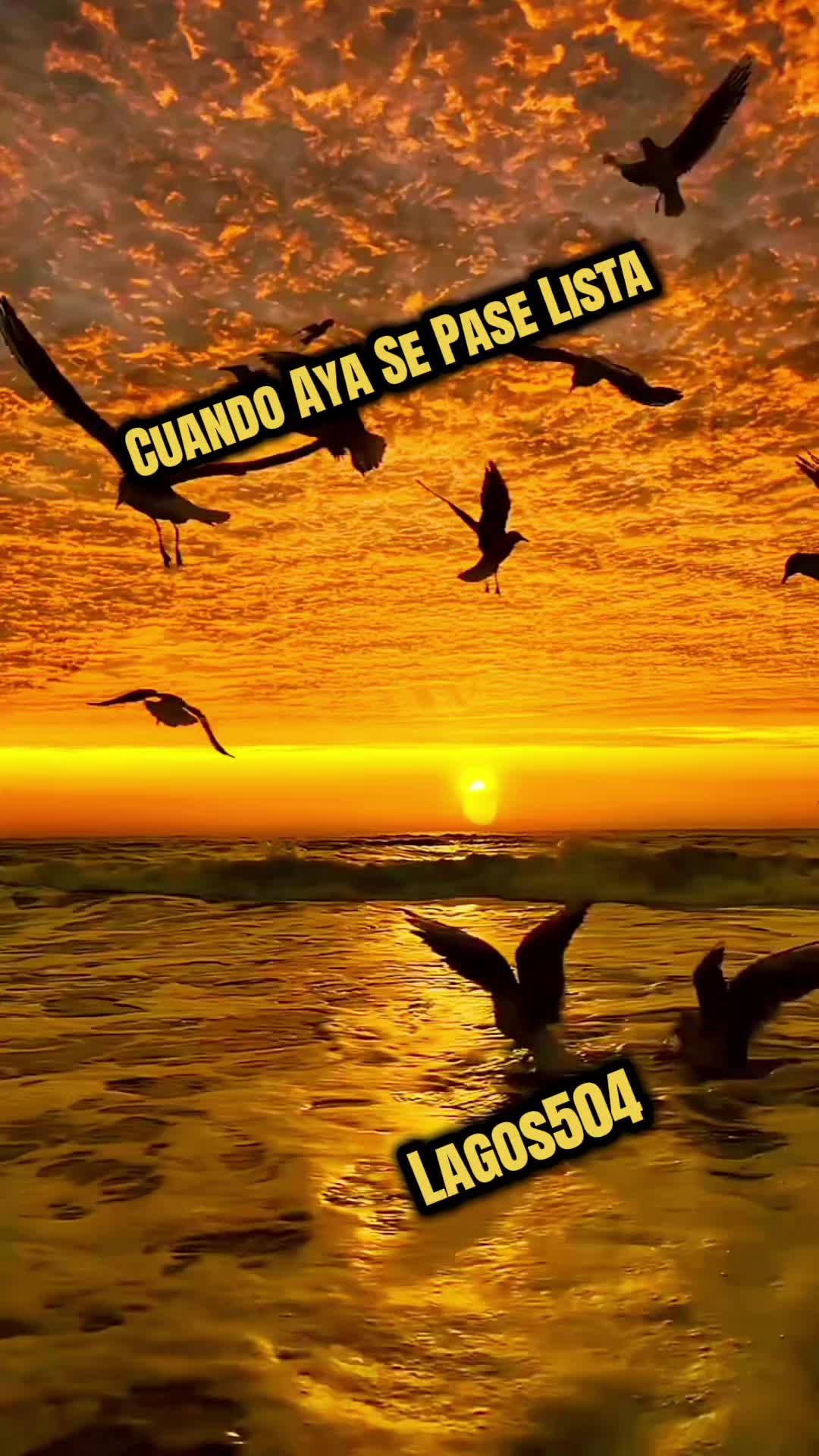 @✝️🇭🇳Lagos504🐒💵
