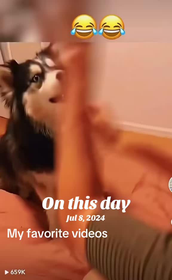 @my favorite videos