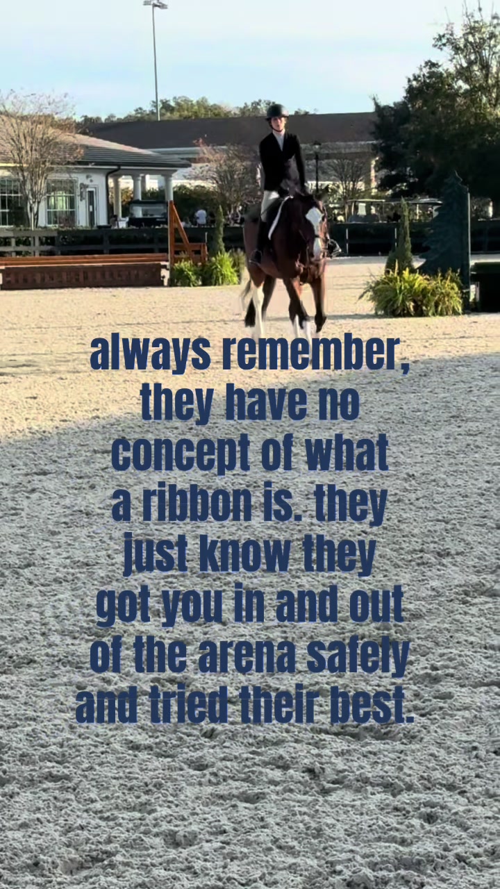 @.ktm.equestrian