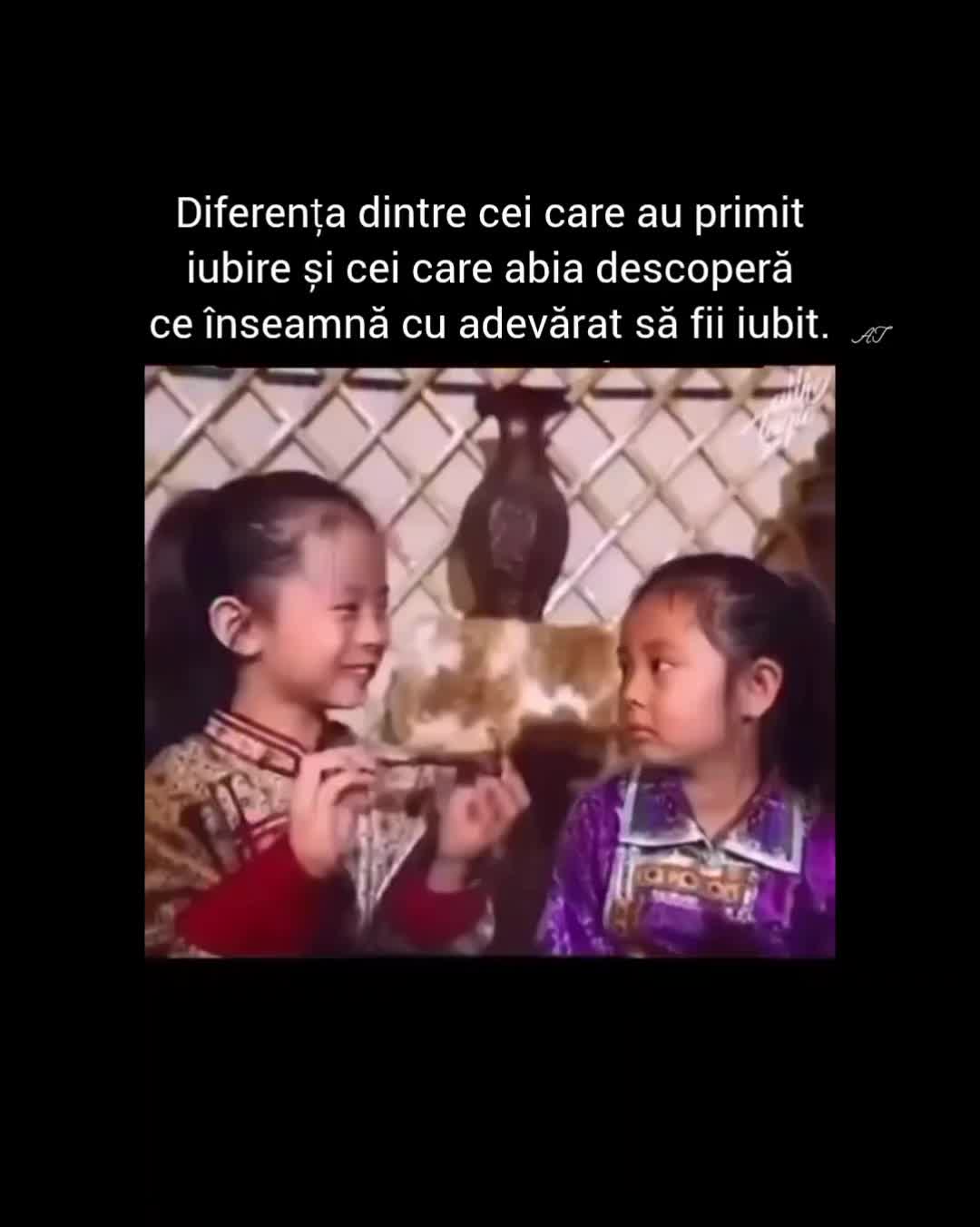 @AncuTane