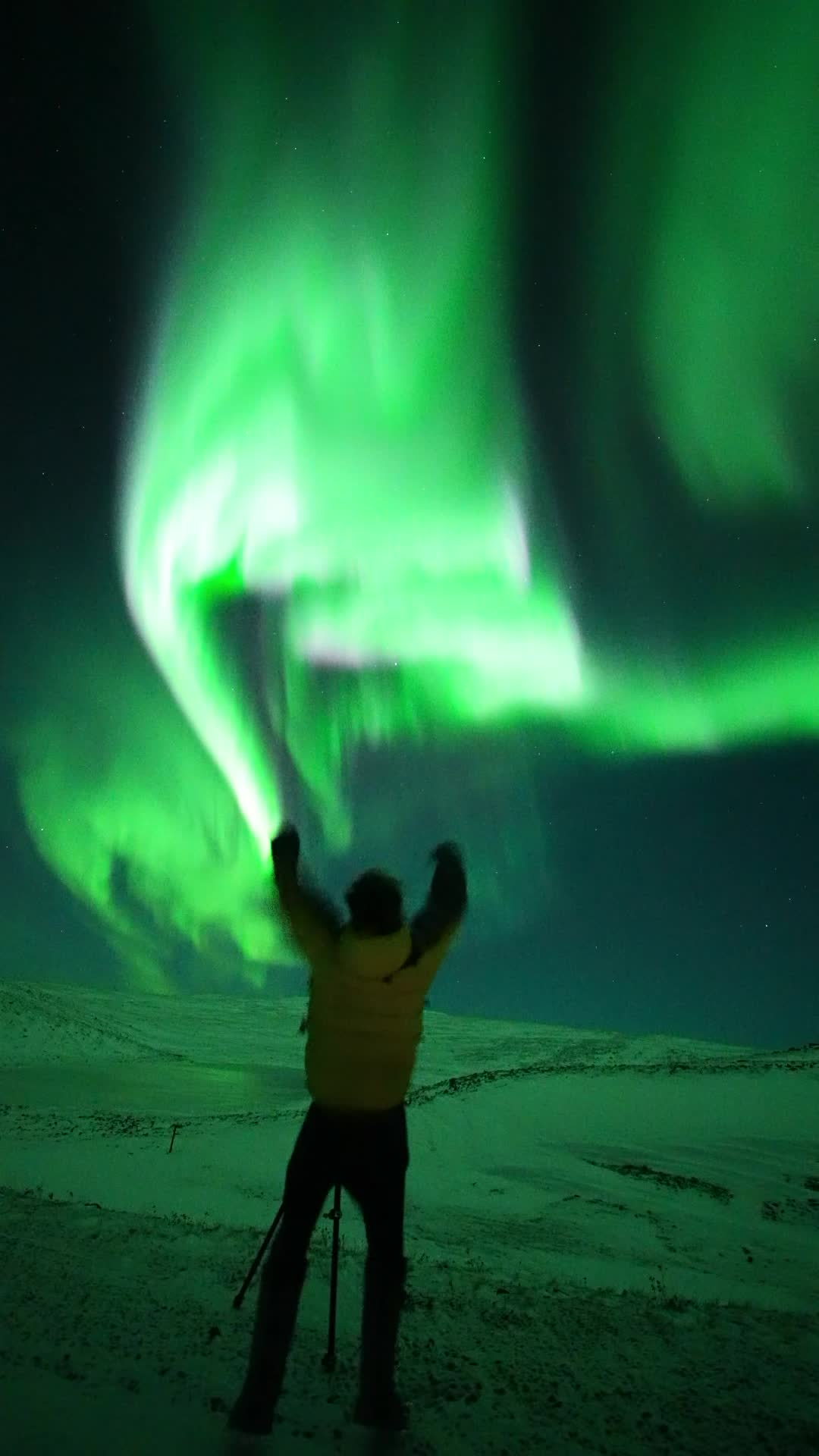 @lorenzmira_lapland