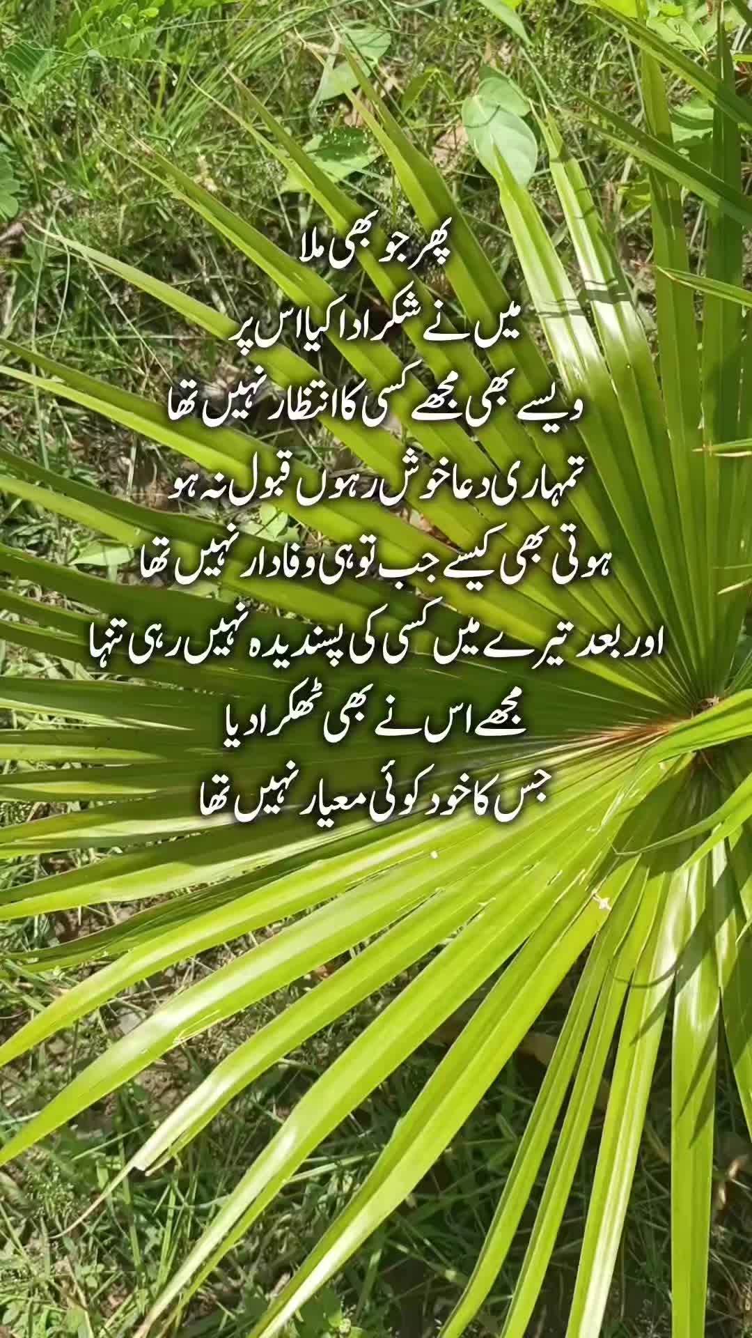 @Kainat Quotes