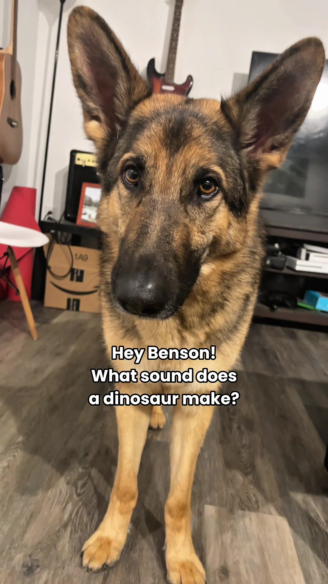 @Best Boy Benson
