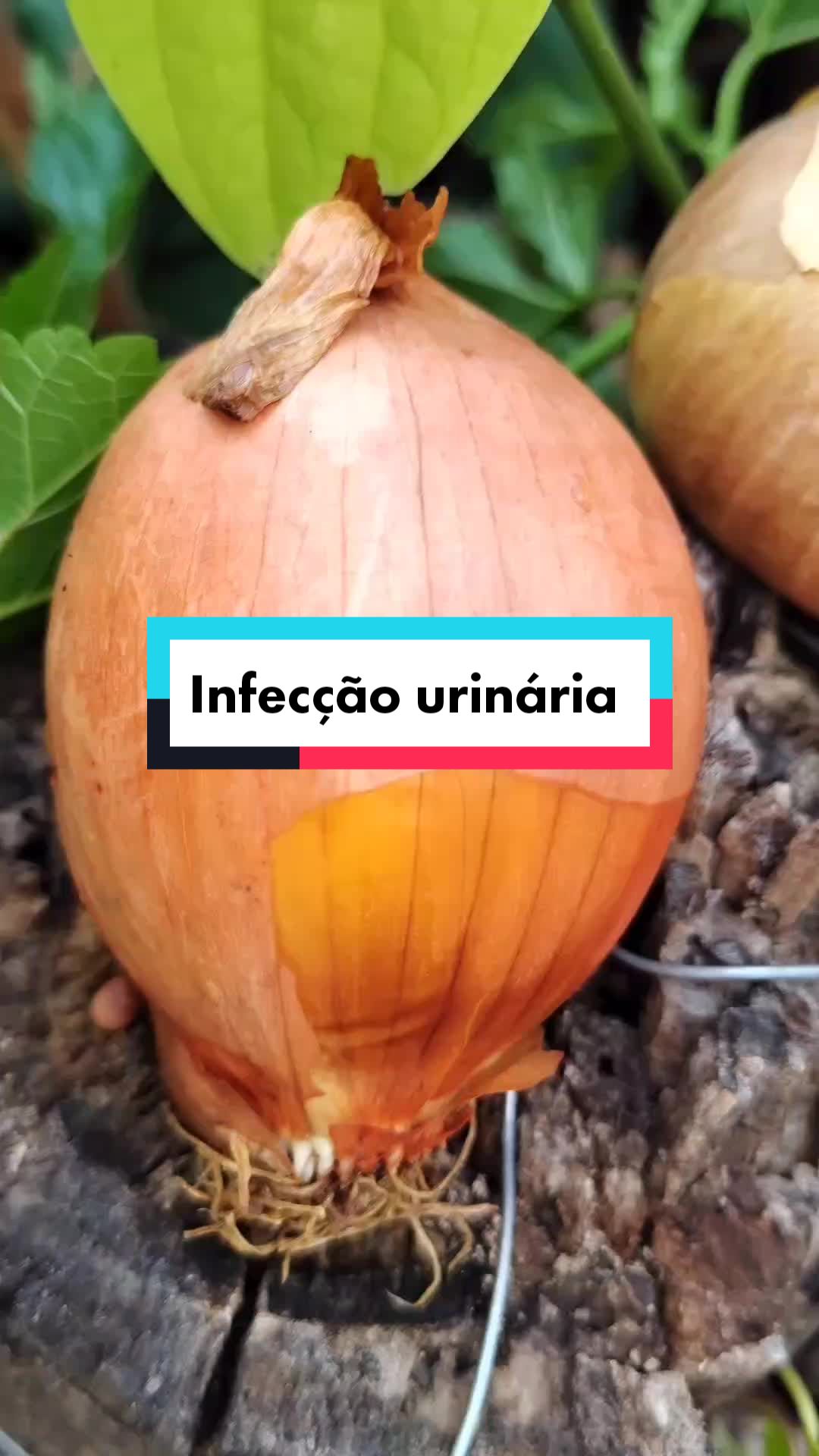 @Dicas e Receitas Naturais
