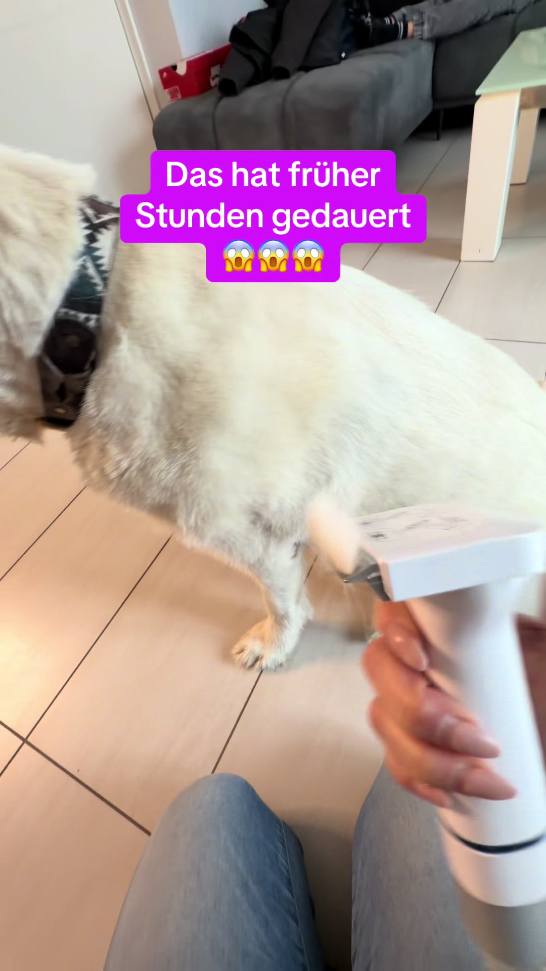 @Braunici