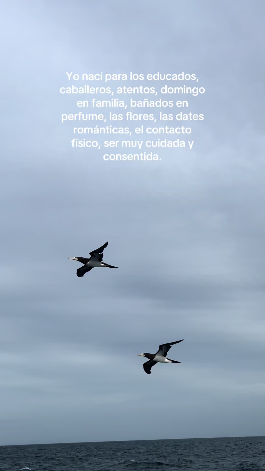 @TutiRodju