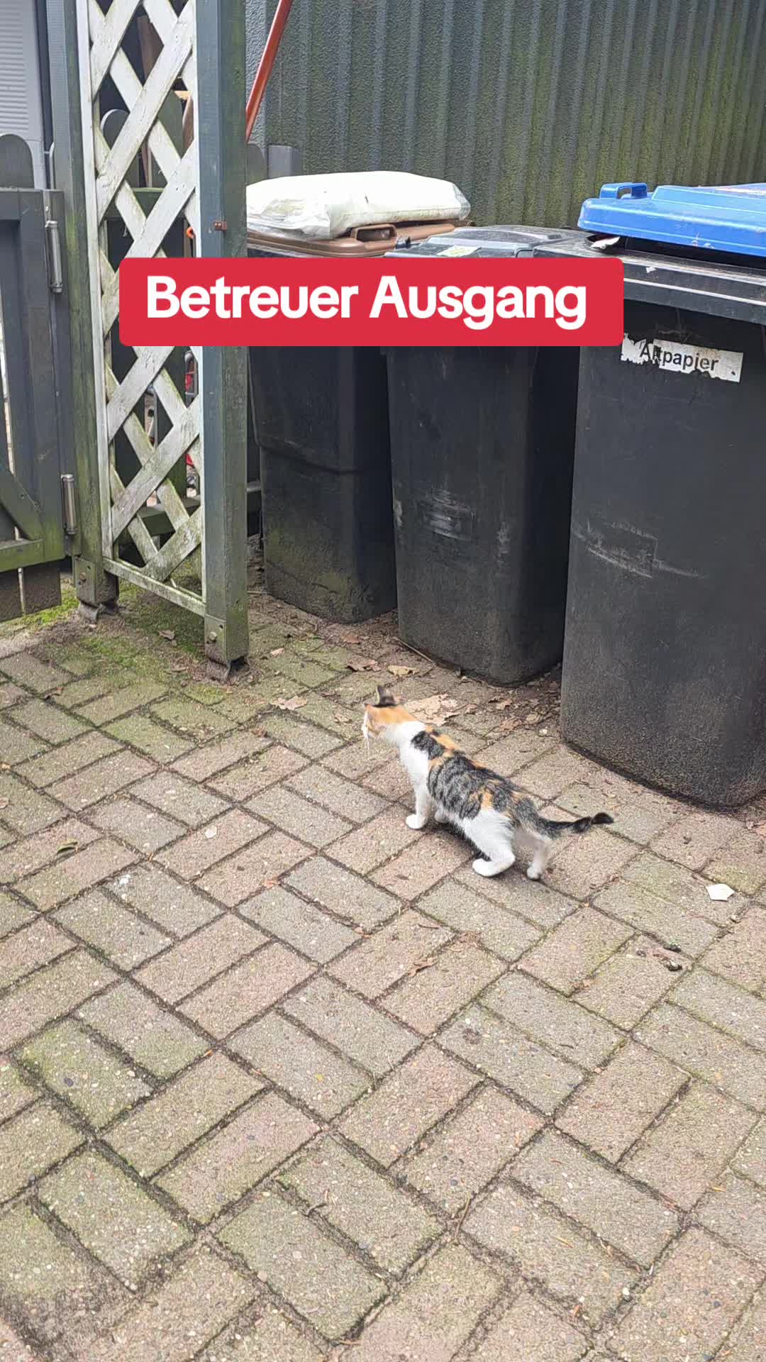 @Janine&Schatzi die echten