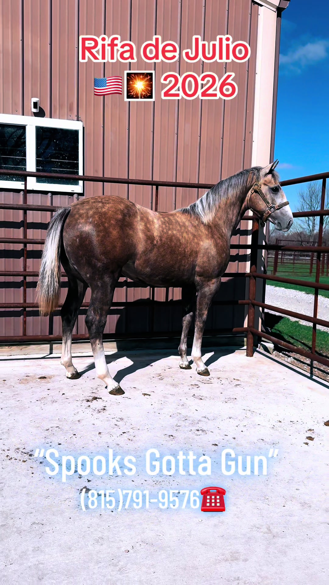 @R.L.P Quarter Horses