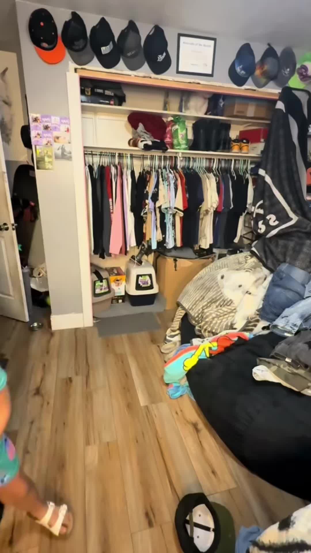 @kodi_1517