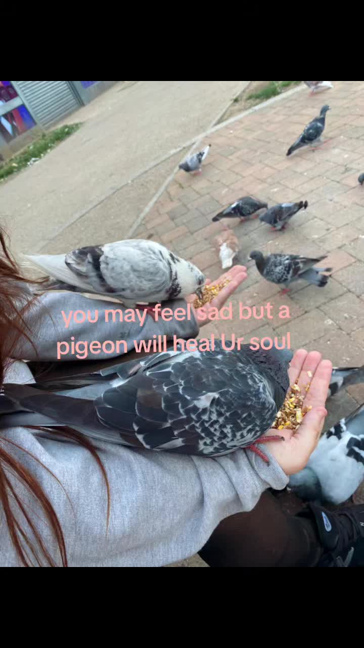 @𝓡𝓮𝓭 𝓿𝓮𝓵𝓿𝓮𝓽。‧˚ʚ🐇ɞ˚‧。