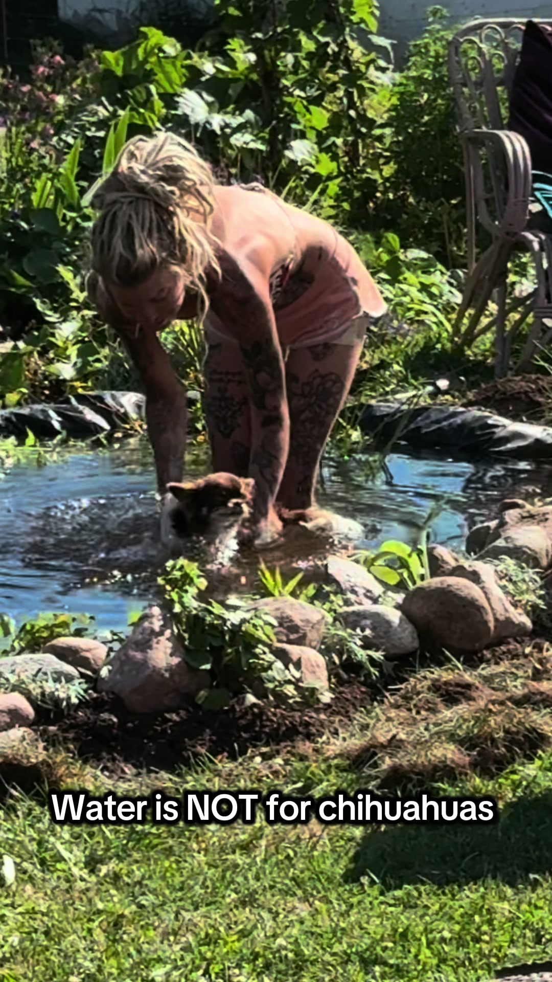 @MorrisMiniDog