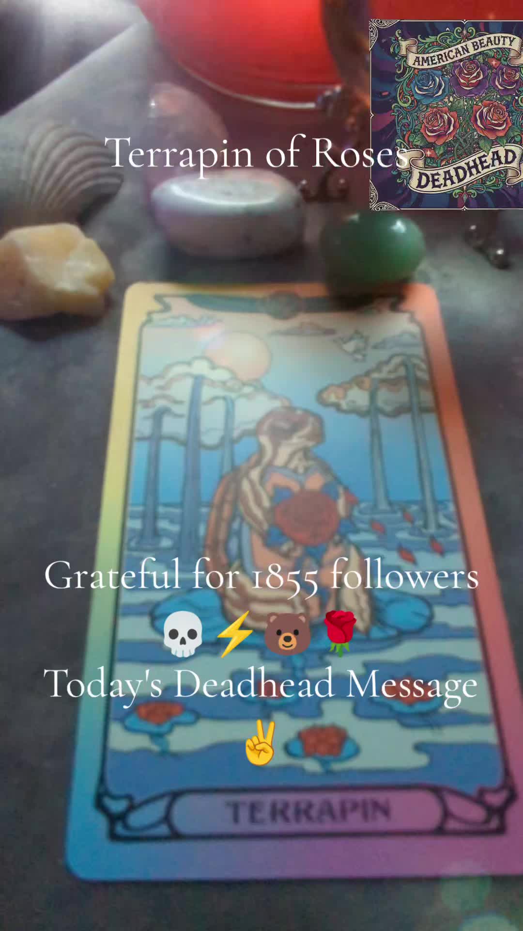 @Deadhead Tarot ✨✌️✌️