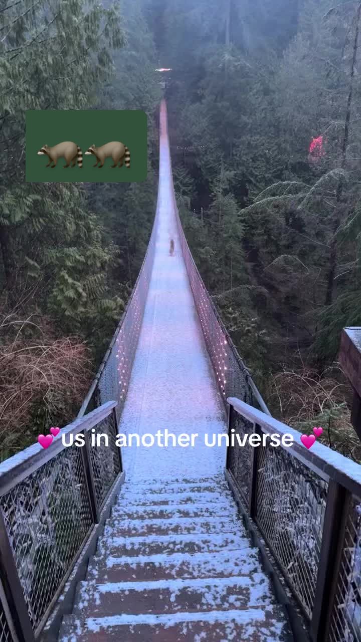 @Capilano Suspension Bridge