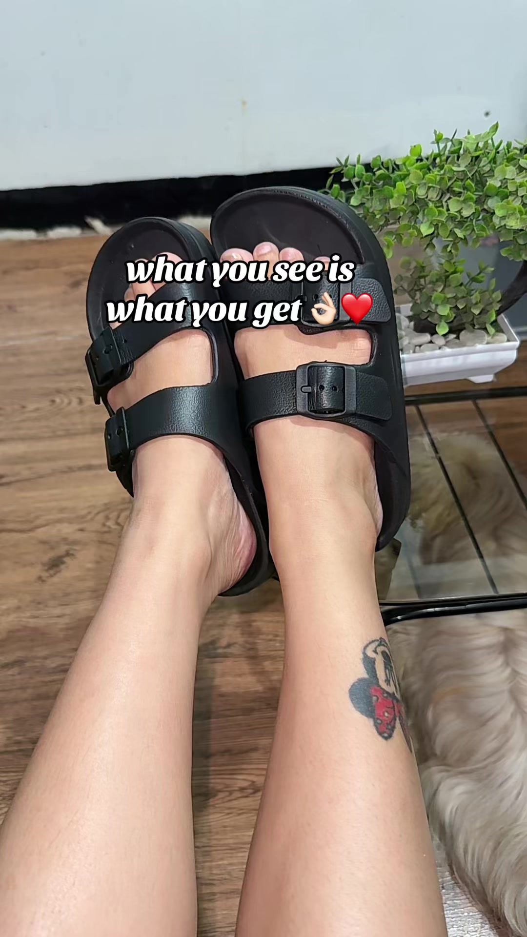 @petot🌻🏳️🌈
