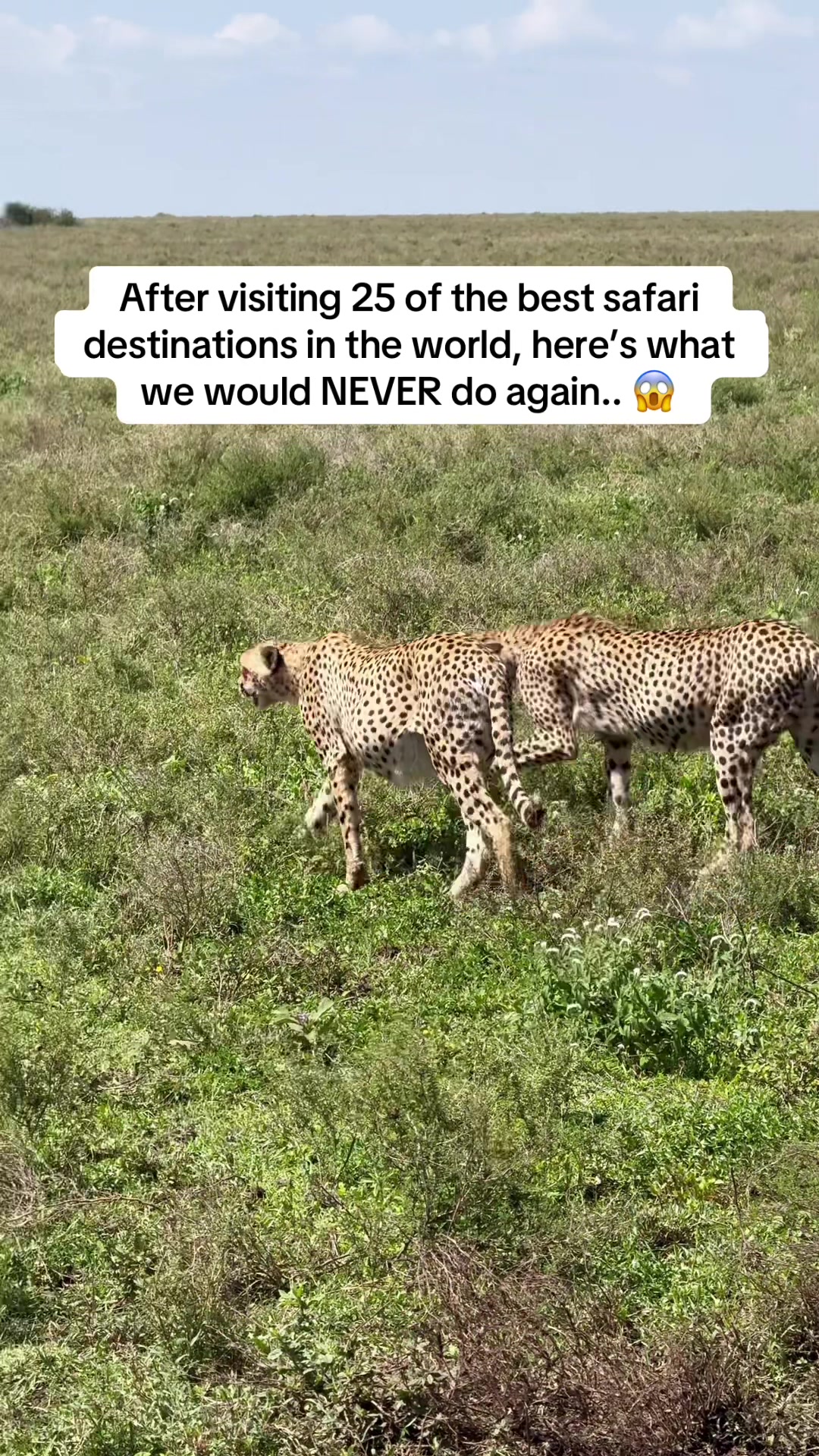 @Mr & Mrs D Adventures