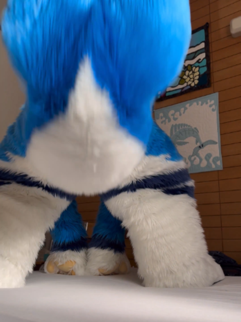 @radywolf
