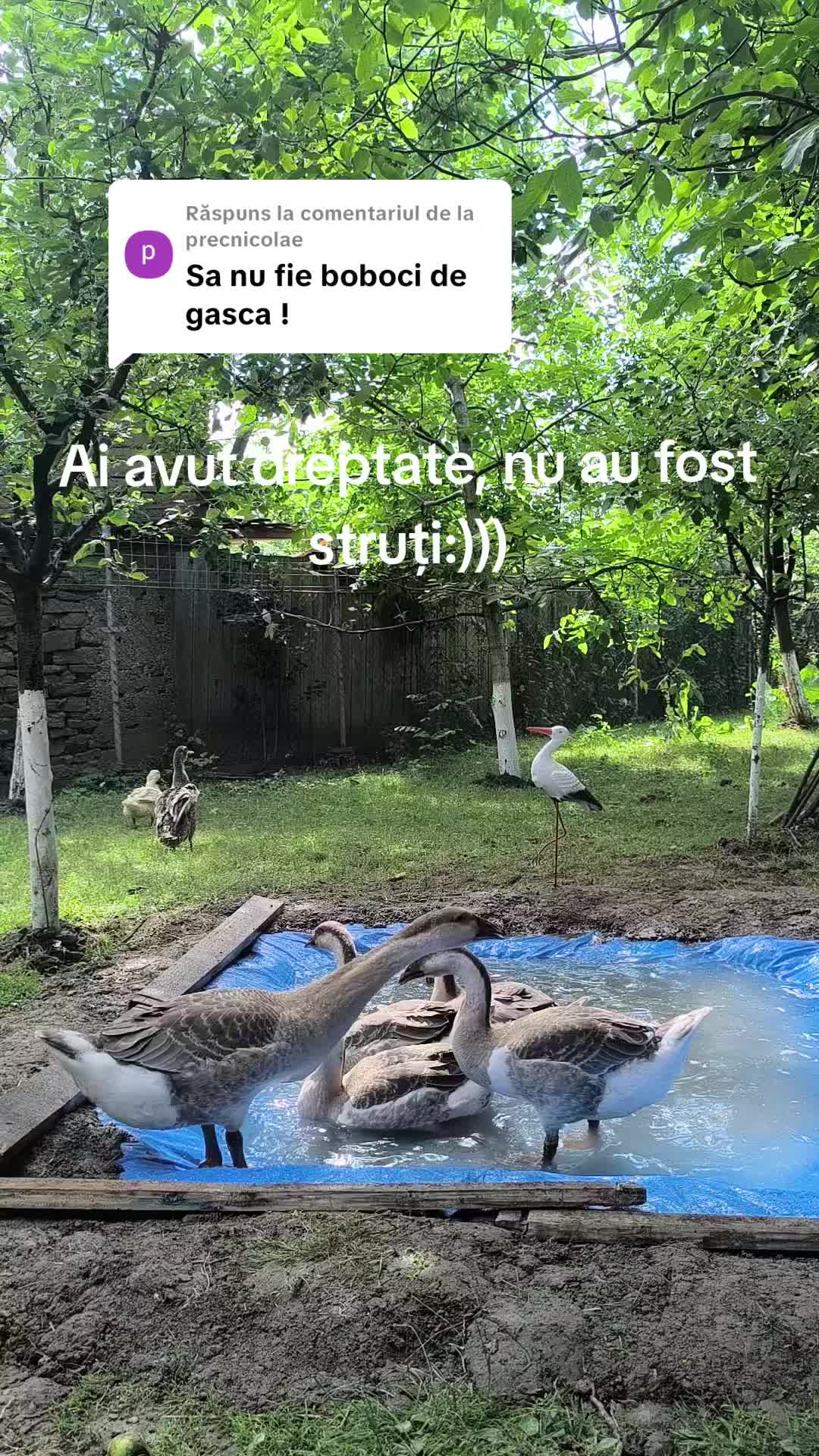 @Vlad