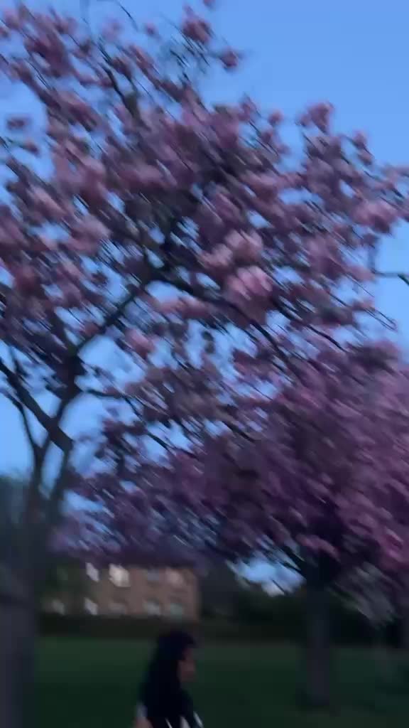 @Riyalijo