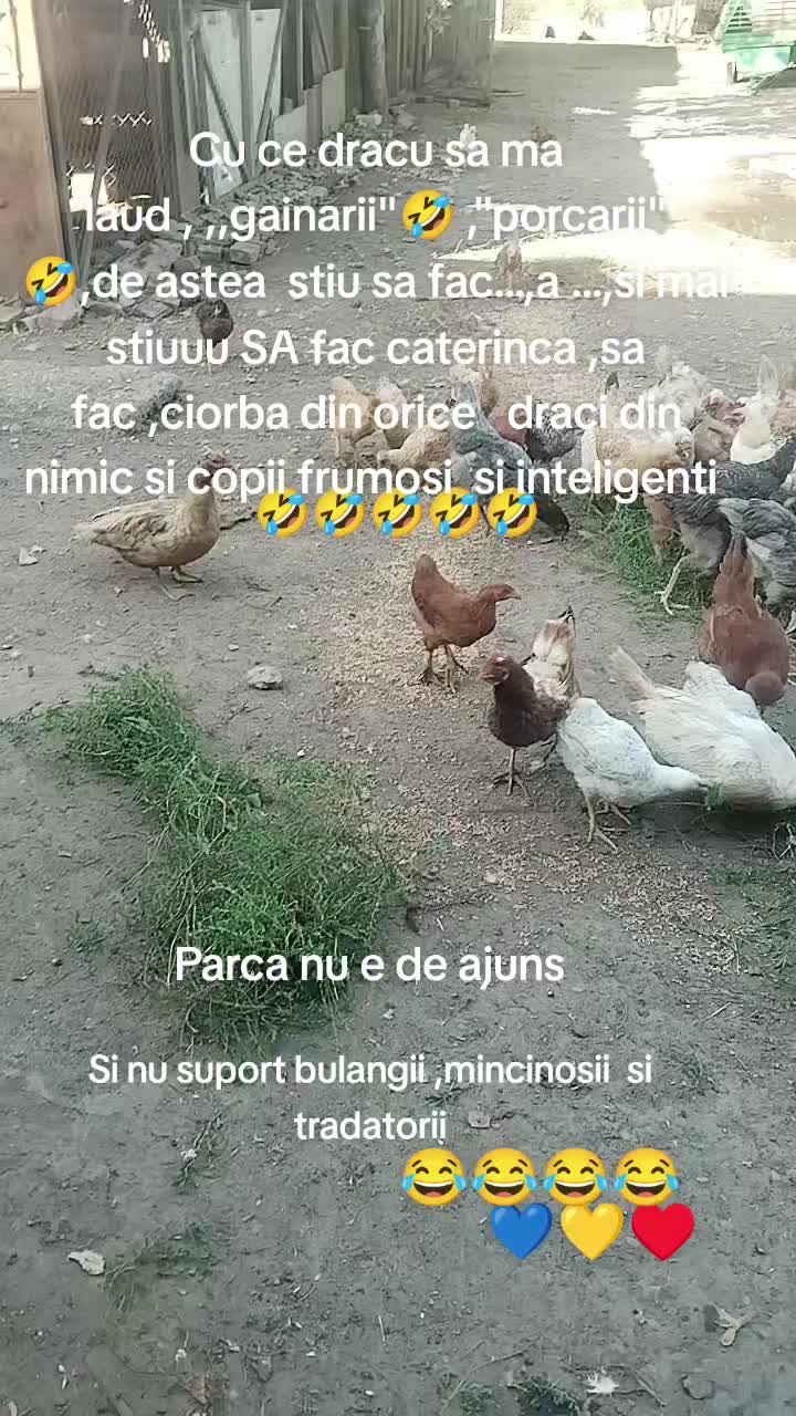 @vio