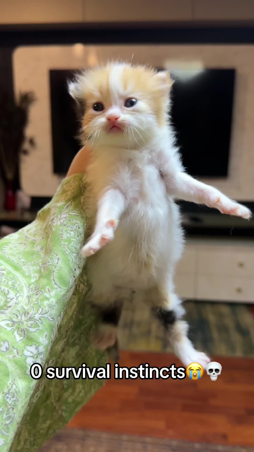 @_purrfecttpaws_