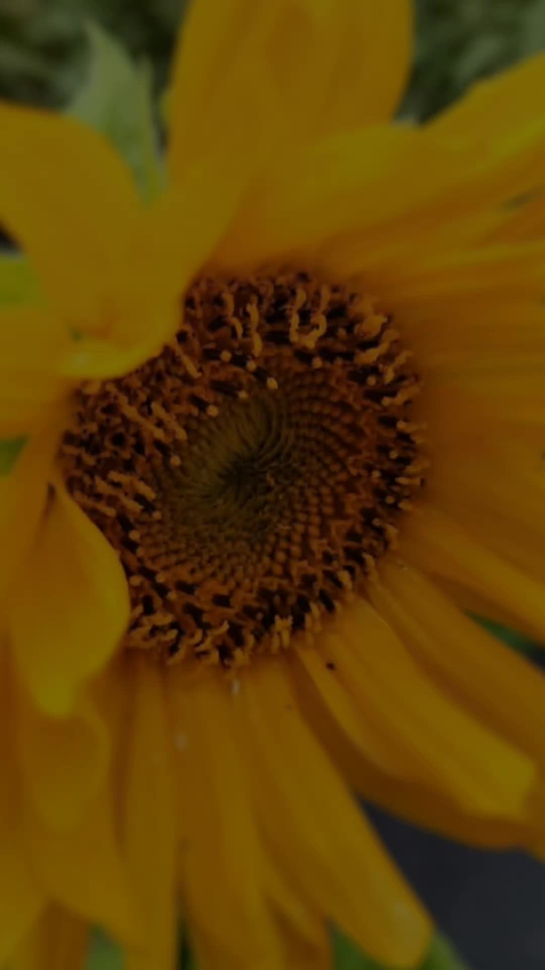 @LymphomaLass