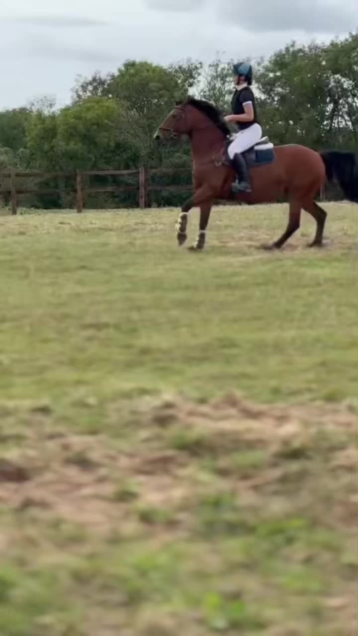 @amelia_showjumping2